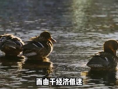推背图预言:灾难即将来临,地球自动清理,将要进入毁灭时代? #预言 #历史