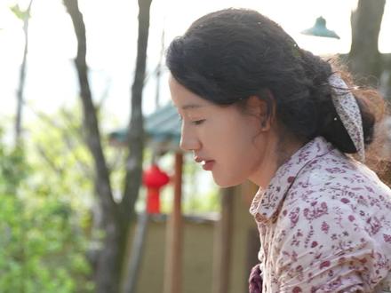 这杯三花茶特别适合给姐妹分享,分享这份春天吃花的喜悦,也是在分享一份好心情。#蒲公英三花茶 #每日一茶 #乡村味道