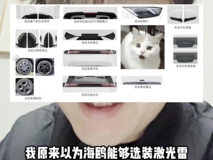 太离谱了,海鸥可能要上兆瓦闪充!#海鸥 #天神之眼B #比亚迪