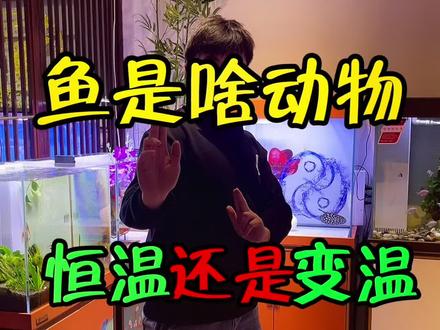 #结尾亮了 #上才艺 #开缸 #养鱼 #鱼缸 所以鱼到底是啥动物啊#水族