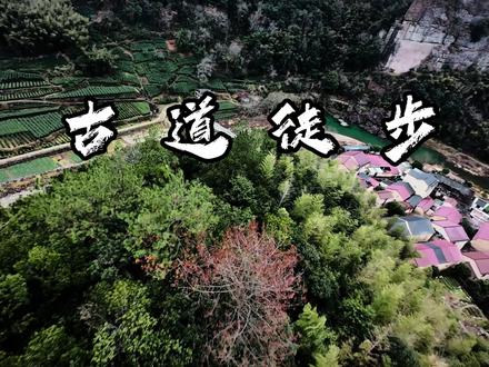 新昌安岚古道徒步体验,山水风景太舒服了,当地的村民也很淳朴~#一张图证明你去过的地方 #原创视频 #旅行推荐官 #fpv #徒步 @新昌文旅 @新昌安岚