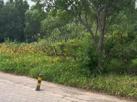 原来我一直都是一个人 没事 不需要和我共创😊#听潮阁甜崽