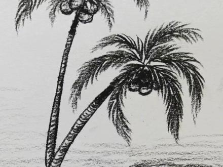 画画其实很简单——椰子树#教程 #画画 #抖出我的艺术