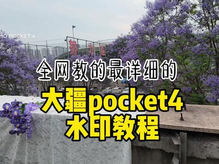 pocket4的水印如何添加,最全教程来啦~ #大疆pocket4 #水印教程 #大疆水印