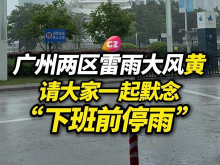 广州两区挂出雷雨大风黄色预警,希望不要变成下班雨。