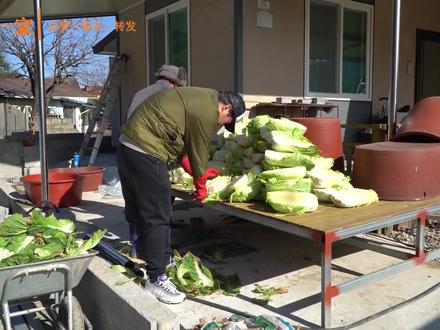 记录去年冬天爸妈制作泡菜的全过程,自制美食吃起来很安心哦~(上)#兴森一家