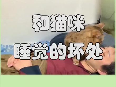 和猫咪睡觉,有哪些坏处?#英短 #猫@抖音小助手