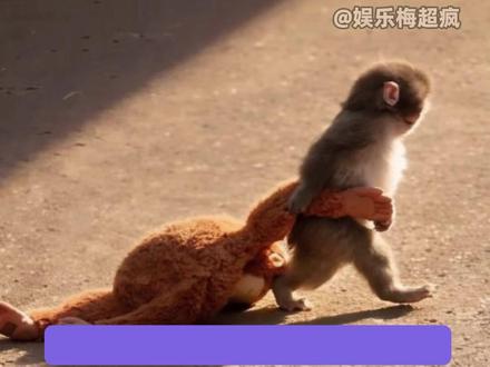 昂辛抱住小潘奇也抱住了小时候被孤立的自己 #内容启发搜索