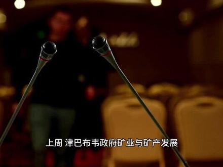 津巴布韦新规:关键矿产开发必须让国资控股,原矿不得出口#稀土 #稀土资讯 #中国稀土产业大数据平台