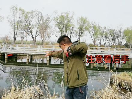 弹弓渔轮渔镖和泥丸钢球不一样新人多看经验少走弯路/正能量练弓