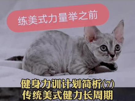 健身干货:健身力训计划简析7,美式增肌健力长周期。#健身 #干货 #健美 #力量举 #运动 #内容过于真实