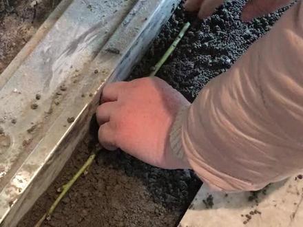 88枚5角的硬币经过两个闺蜜之手,桃树枝是妈妈挑剪出来滴,满满的❤️!运城过门石的讲究,镇邪留财保平安……