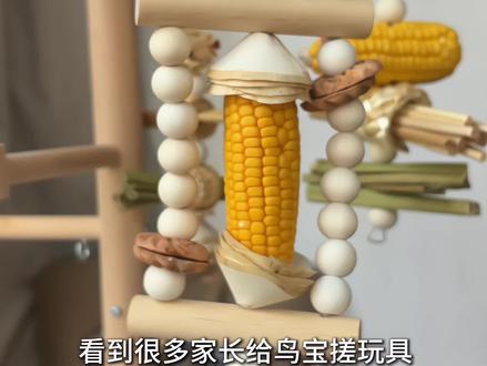 DIY鹦鹉玩具 吃喝玩乐一站式搞定
#鹦鹉 #手养鹦鹉 #IGG鹦鹉 #鹦鹉玩具diy #鹦鹉零食