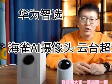 摄像头到底应该怎么选?海雀AI摄像头 云台超清版2K,满足你看家护院,看娃照顾老人,云撸猫等所有需求!!!#海雀 #海雀ai全景摄像头