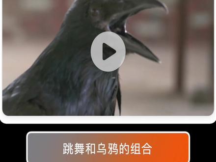 每日一镜:跳舞穿插的这些元素,到底是想表达什么?#隐喻蒙太奇 #情绪短片