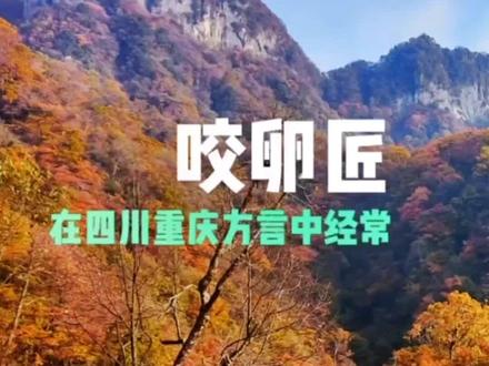 我们遵义也说咬卵犟,就是那种杠精,钻牛角尖认死理的那种,油盐不进说什么都不听,只觉得自己是对的。其实人还是有点自知之明好点😂😂#世道人性