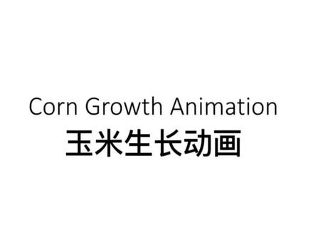 玉米的一生。#2022年新农人计划 #正大种业