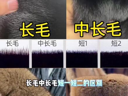 最全水貂毛针区别,买貂必看,短一短二长毛#貂皮大衣 #进口水貂 #真毛皮草 #冬天还得是皮草穿搭 #工厂自产自销