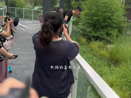 奶爸投喂桃浜
momo 酱小桃子迈着优雅的步伐走过来
一口叼两个 一手一个
鼻子先吃 好可爱
看样子桃浜已经完全适应了新环境
#大熊猫桃浜#大熊猫樱浜#大熊猫永明#旅美大熊猫美香一家 #熊猫基地看熊猫