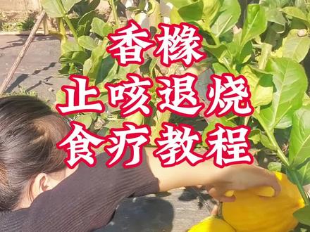 香橼食疗教程,比列1:2。药食同源香橼果,止咳退烧,感冒发烧咳嗽。能食疗就不用药,#可以止咳润喉的美食 #香橼 #上热门