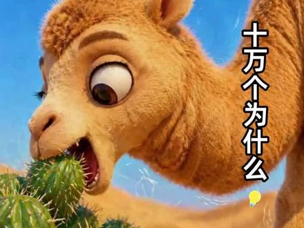骆驼吃刺不扎嘴?真相来了!🔍#十万个为什么#每日推文 #分享
