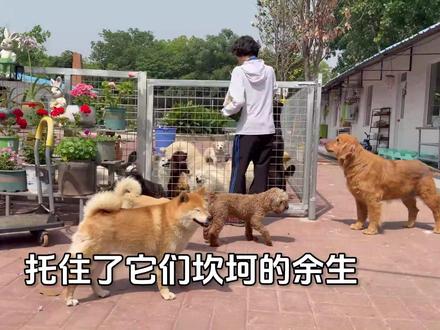 农舍迎来六周岁生日,阿姨们千里万里奔赴而来,这份感情让人落泪