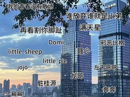 #TF家族四代 或许只有四丝才懂得吧