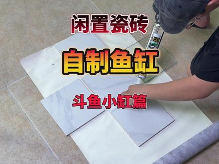 闲置瓷砖废物利用,自制斗鱼小鱼缸 #自制瓷砖鱼缸