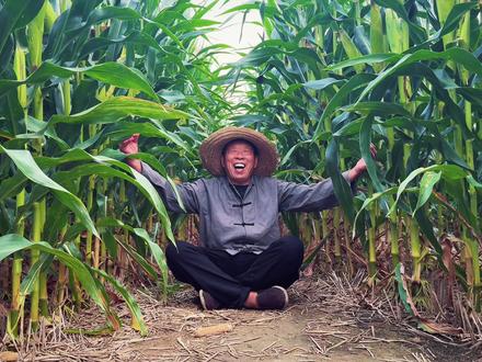 汗水洒在干裂的泥土里,目光落在破土的玉米上#干裂的土地#转场