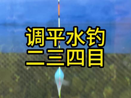 这是一位钓友想要看的水下状态#调漂 #调漂教程 #调平水钓两目 #调漂技术分享 #精准调漂