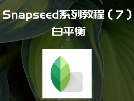 咳咳,snapseed的白平衡,第一排的功能就讲完了。#snapseed