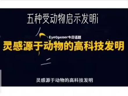 五种受动物启示发明#努力到无能为力拼搏到感动自己 #点亮世界点亮你 #智慧打开一切 #震惊全球 #把知识装进脑袋