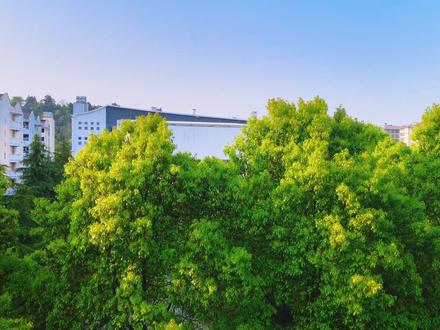 青春不散场--致2025届毕业生 #毕业季