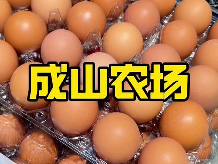 预售!!20枚鲜鸡蛋8.8,快囤 #新鲜农产品 #抢鸡蛋 #成山烟火气农场送暖冬 #新店开业 #周末去哪儿