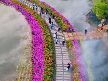 青秀山黄花风铃木攻略☑️一份门票钱既能出片又能赏花灯!!#黄花风铃木 #春天不能错过的治愈美景 #青秀山