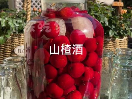 泡了个好喝的山楂酒 #花园生活 #美容养生
