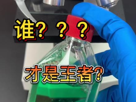 #科普 #健康 #风油精
螨虫也怕风油精吗?#显微镜下的世界 #实验室日常