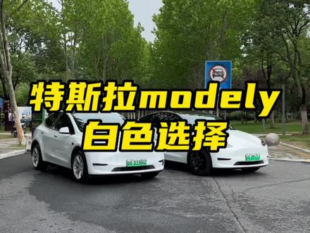 特斯拉贴白色怎么选择?要不要悬浮顶#合肥特斯拉贴膜 #modely #安徽特斯拉专业改装