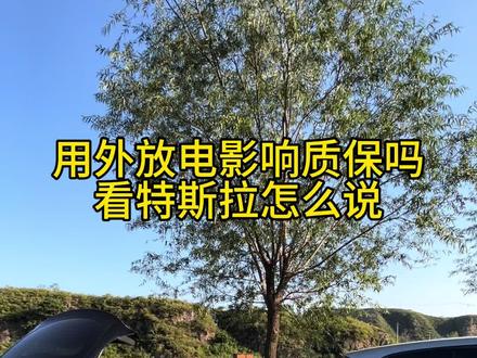 #小李飞车 #特斯拉 用外放电影响质保吗?我给特斯拉打电话你整明白#特斯拉露营 #特斯拉放电 #唯电宝