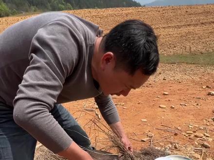 亿万老板荒野巨物挑战,野外生存,第十二天包大气被娜小娜打了?#美人鱼千斤顶荒野巨物挑战赛 #抖音荒野垂钓季 #荒野垂钓也能过上小康生活 #野外生存#荒野求生