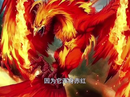 四大神兽,朱雀 #神秘