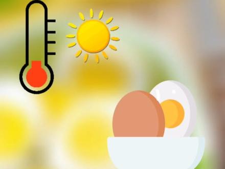 #生活小常识 隔夜的水煮蛋还能吃吗