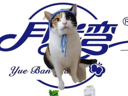 咪 就没有什么能难住你的? #萝卜纸巾猫咪 #月半弯 #纸巾 #萌宠 #猫咪高智商才艺大赏