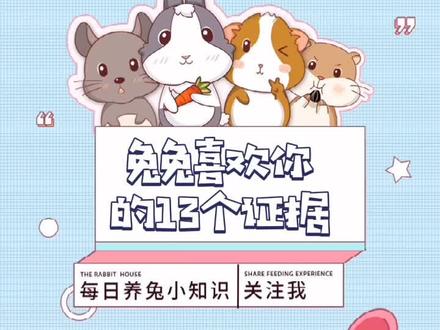 #兔兔窝小课堂 第92集 | 兔兔喜欢你的13个证据 #兔子 每个打一分你🉐几分?