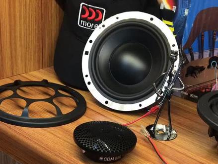 以色列摩雷意蕾三分频介绍
