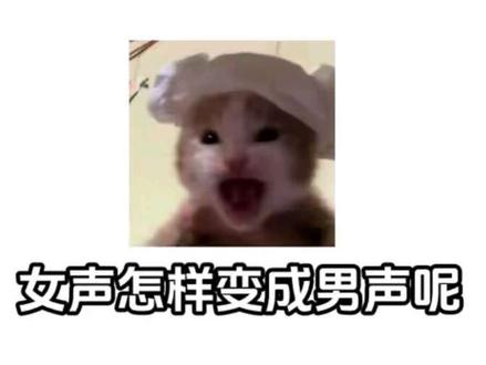 诡秘!这是我给你报的女伪男配音网课!#青年音#女伪男#配音#伪音#声优