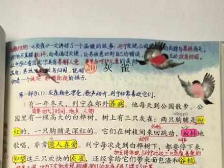 #小学语文 三年级下册《灰雀》