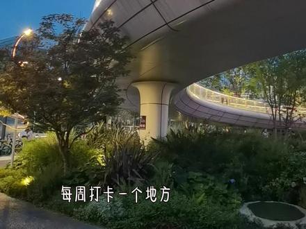 打卡交子人行桥,新晋网红地,溜娃耍水巴适