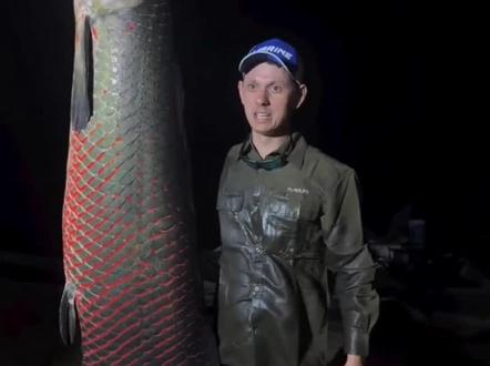 亚马逊那些未知的生物#科普