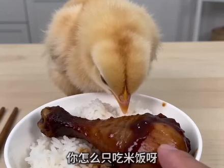 小妹妹你挺牛逼克拉斯呀